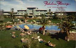 Fabulous Flamingo Hotel Postcard
