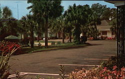 Palms Motel and Restaurant Postcard