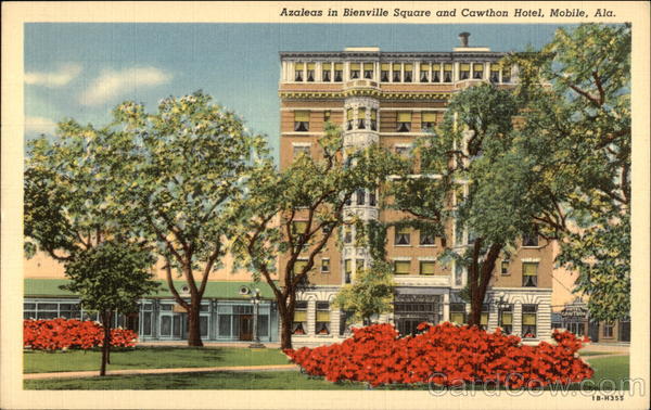 Azaleas in Bienville Square and Cawthon Hotel Mobile Alabama