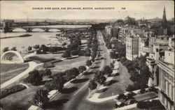 Stock #324077 Thumbnail