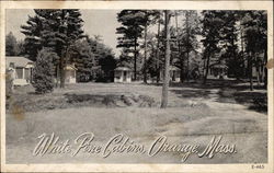 White Pine Cabins Orange, MA Postcard Postcard