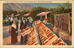 Stock #324216 Thumbnail