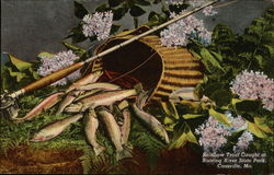 Rainbow Trout Caught at Raoring River State Park Postcard