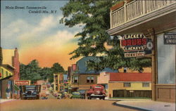 Looking Up Main Street, the Catskill Mts Postcard