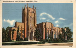 Peabody Museum at Yale University Postcard