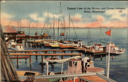 Typical View of the Shrimp and Oyster Industry Biloxi, MS Postcard Postcard