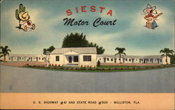 Siesta Motor Court Postcard