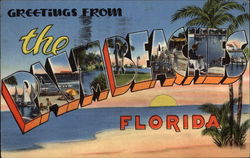 Greetings from the Palm Beaches Florida Postcard Postcard