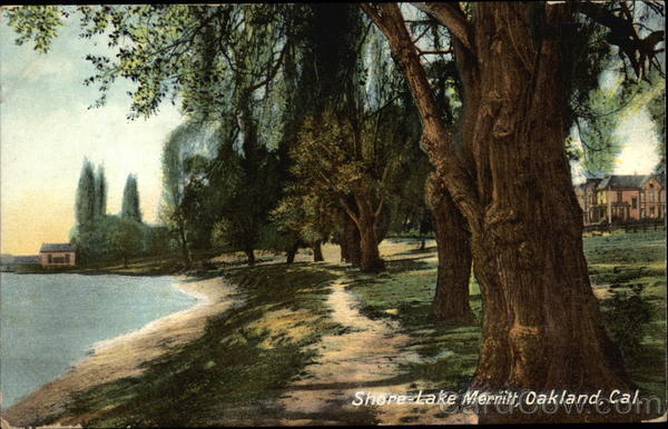 Shore-Lake Merritt Oakland California