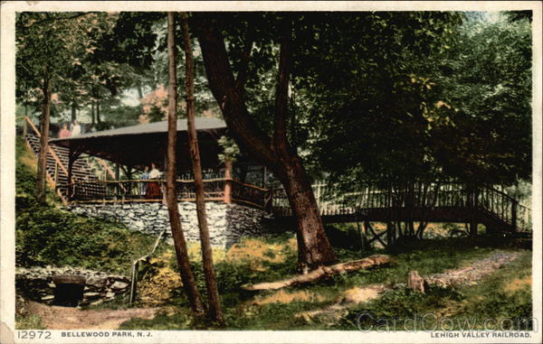 Lehigh Valley Railroad, Bellewood Park Pattenburg New Jersey