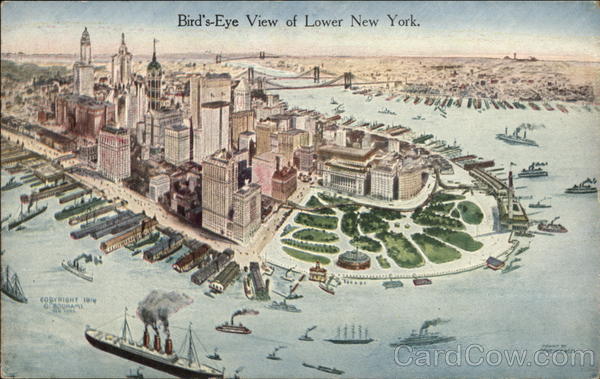 Bird's Eye View of Lower New York
