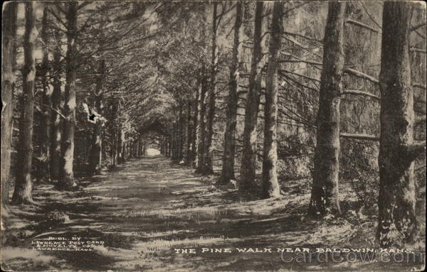 The Pine Walk Baldwin Kansas