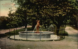 The Fountain Riverside Park Postcard