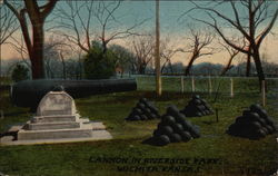 Cannon in Riverside Park Postcard
