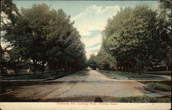 University Avenue, looking West Postcard