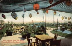 Roof Garden from Tea Room at Nortonia Hotel Postcard