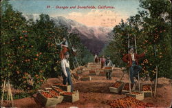 Stock #325226 Thumbnail