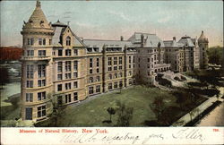 Museum of Natural History Postcard