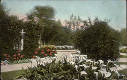 Winter Scene in East Lake Park Los Angeles, CA Postcard Postcard