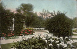 Winter Scene in East Lake Park Postcard