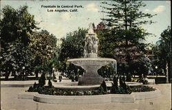 Fountain in Central Park Postcard