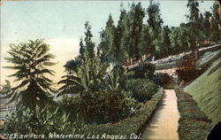Elysian Park, Wintertime Los Angeles, CA Postcard Postcard