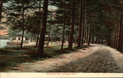 Wildwood Park Killingly, CT Postcard Postcard