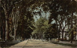 Washington Street, Looking North Postcard