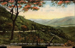 Military Road, Built in 1850 and "Flamboyant" Tree Postcard