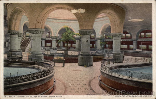 New York Auditorium - Main Floor