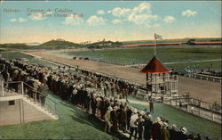 Oriental Park - Horse Race Postcard