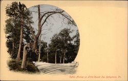 Sykes Avenue on Little Round Jop Postcard