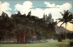 Kapiolani Park Hawaii Postcard Postcard