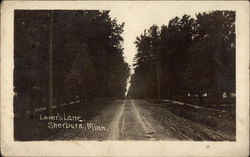 Loner's Lane Sherburn, MN Postcard Postcard