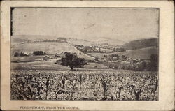 Pine Summit, From the South Postcard