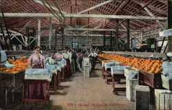 Orange Packing California Postcard Postcard