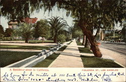 A Residence Street on Figueroa St Postcard