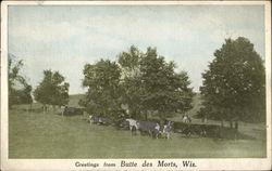 Rural Scene Postcard