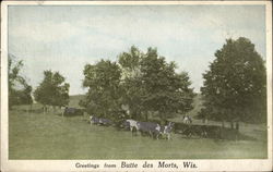 Rural Scene Butte des Morts, WI Postcard Postcard