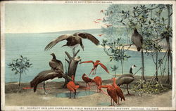 Stock #326458 Thumbnail