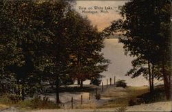 View on White Lake Montague, MI Postcard Postcard