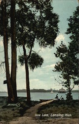 Pine Lake Pine Lake