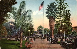 Central Square Postcard