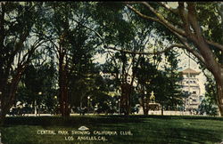 Central Park Showing California Club Postcard
