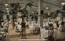 National Hotel Winter Garden Postcard
