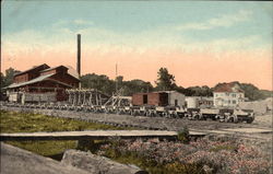Tallahatchie Lumber Co Postcard