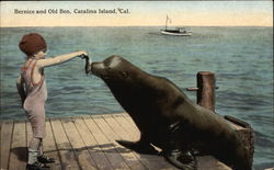 Bernice and Old Ben Santa Catalina Island, CA Postcard Postcard