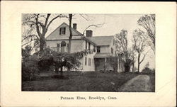 Putnam Elms Postcard