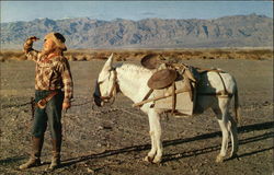 Western Prospector Postcard