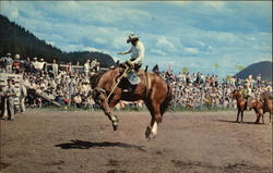 Bucking Bronc at Williams Lake Rodeo Canada Misc. Canada Postcard Postcard